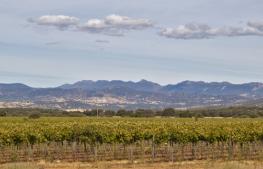 Bodegas Carabal en Alía. Denominación de Origen Ribera del Guadiana.